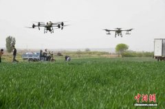 山西优质小麦生产基地闻喜